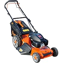 61MgoP+vviL._AC_UL210_SR210,